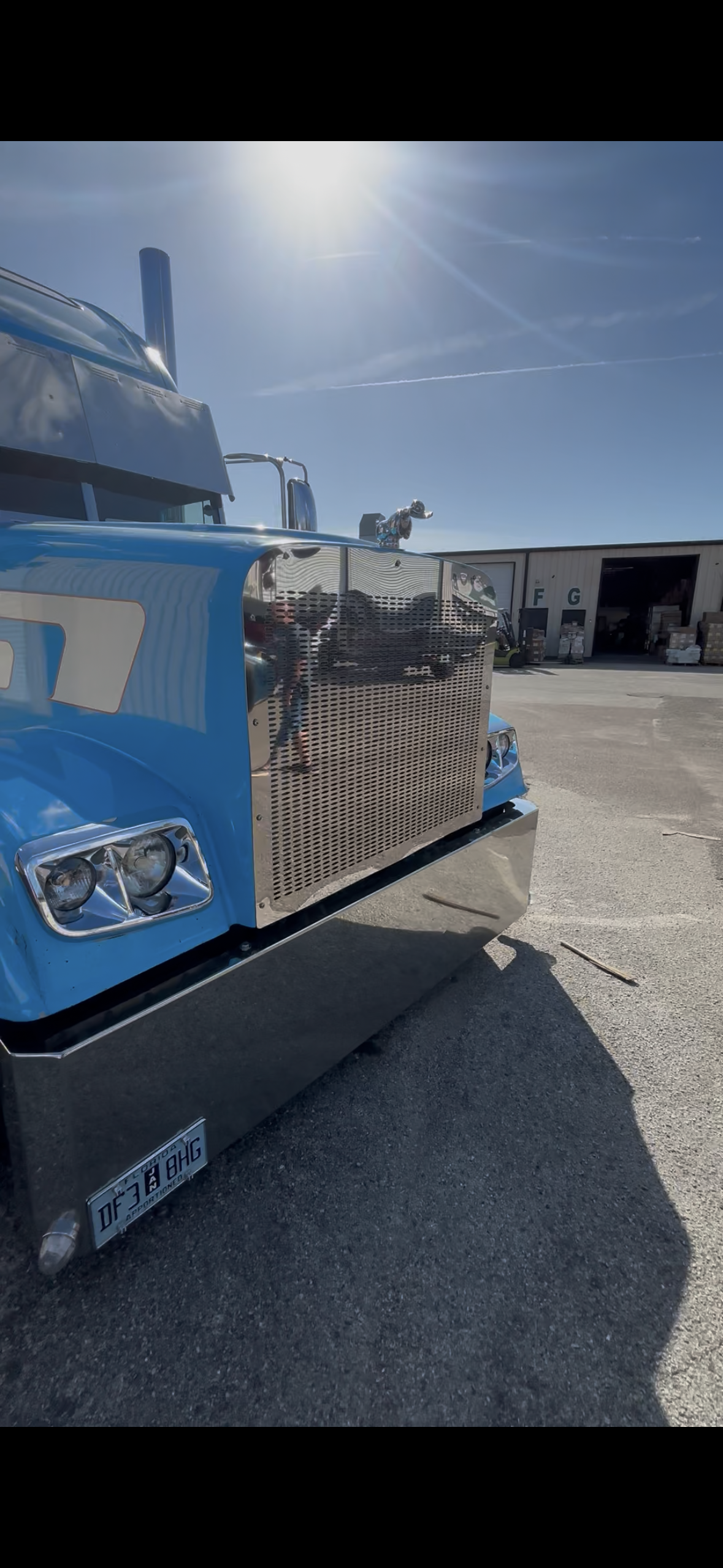 Freightliner Classic, XL Stainless Steel grill over hood style