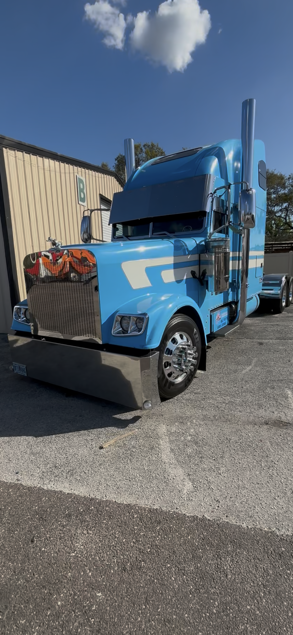 Freightliner Classic, XL Stainless Steel grill over hood style